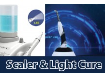 Scaler & Light Cure